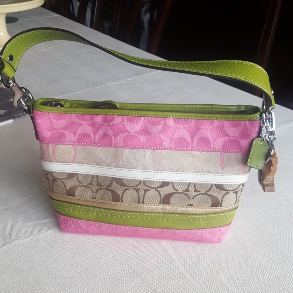 Coach mini purse
